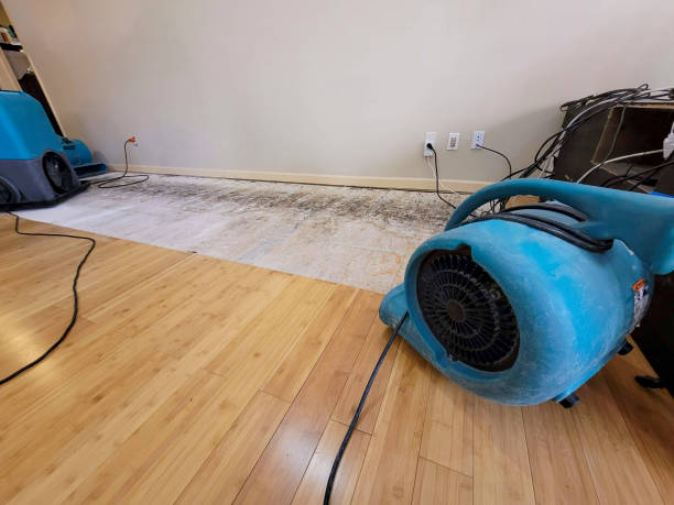Professional Structural Drying technician working in Avon, MN